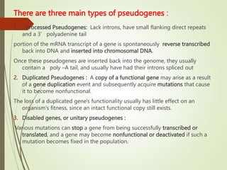 There are three main types of pseudogenes :
1. Processed Pseudogenes: Lack introns, have small flanking direct repeats
and a 3’ polyadenine tail
portion of the mRNA transcript of a gene is spontaneously reverse transcribed
back into DNA and inserted into chromosomal DNA.
Once these pseudogenes are inserted back into the genome, they usually
contain a poly –A tail, and usually have had their introns spliced out
2. Duplicated Pseudogenes : A copy of a functional gene may arise as a result
of a gene duplication event and subsequently acquire mutations that cause
it to become nonfunctional.
The loss of a duplicated gene's functionality usually has little effect on an
organism's fitness, since an intact functional copy still exists.
3. Disabled genes, or unitary pseudogenes :
Various mutations can stop a gene from being successfully transcribed or
translated, and a gene may become nonfunctional or deactivated if such a
mutation becomes fixed in the population.
 