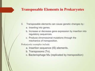 Transposable Elements in Prokaryotes
3. Transposable elements can cause genetic changes by :
a. Inserting into genes.
b. Increase or decrease gene expression by insertion into
regulatory sequences.
c. Produce chromosomal mutations through the
mechanics of transposition.
Prokaryotic examples include:
a. Insertion sequence (IS) elements.
b. Transposons (Tn).
c. Bacteriophage Mu (replicated by transposition)
 