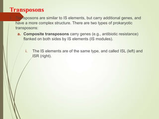 Transposons
1. Transposons are similar to IS elements, but carry additional genes, and
have a more complex structure. There are two types of prokaryotic
transposons:
a. Composite transposons carry genes (e.g., antibiotic resistance)
flanked on both sides by IS elements (IS modules).
i. The IS elements are of the same type, and called ISL (left) and
ISR (right).
 