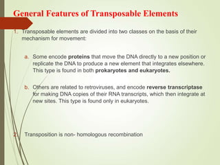 Transposable Elements in Prokaryotes
3. Transposable elements can cause genetic changes by :
a. Inserting into genes.
b. I...