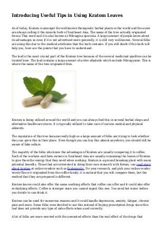 Introducing Useful Tips in Using Kratom Leaves
As of today, Kratom is amongst the well-known therapeutic herbal plants in the world and the users
are always calling it the miracle herb of Southeast Asia. The name of the tree actually originated
from a Thai word and it is also known as Mitragyna speciosa. A large amount of people know about
its advantages so even if it is not advertised more generally, it is still very well-known. Several folks
are using this due to the medical attributes that the herb contains. If you still doubt if this herb will
help you, here are the points that you have to understand.
The leaf is the most crucial part of the Kratom tree because of the several medicinal qualities can be
located here. The leaf contains a large amount of active alkaloids which include Mitragynine. This is
where the name of the tree originated from.
Kratom is being utilized around the world and you can always find this in several herbal shops and
alternative healthcare stores. It is typically utilized to take care of various mental and physical
ailments.
The reputation of this tree became really high so a large amount of folks are trying to look whether
they can grow this in their place. Even though you can buy this almost anywhere, you should still be
aware of fake sellers.
The majority of the folks who know the advantages of Kratom are usually comparing it to coffee.
Each of the workers and farm owners in Southeast Asia are usually consuming the leaves of Kratom
to give them the energy that they need when working. Kratum is a ground breaking plant with many
potential benefits. Those that are interested in doing their own research with Ketum, can read more
about kratum at online vendors such as Kratomystic. Do your research, and pick your online vendor
wisely!Since it originated from the coffee family, it is natural that you will compare them, but the
method that they are prepared is different.
Kratom leaves could also offer the same soothing effects that coffee can offer and it could also offer
revitalizing effects. Coffee is stronger since you cannot ingest this raw. You need hot water before
you decide to can drink it.
Kratom can be used for numerous reasons and it could handle depression, anxiety, fatigue, chronic
pain and more. Some folks even decided to use this instead of buying prescription drugs since this
leaf does not provide any type of side effects when used correctly.
A lot of folks are more worried with the unwanted effects than the real effect of the drugs that
 