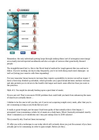 Programs In bodybuilding today - The Basics