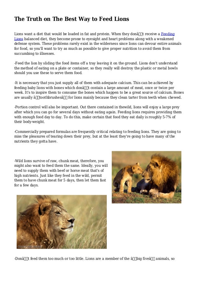 The Truth on The Best Way to Feed Lions