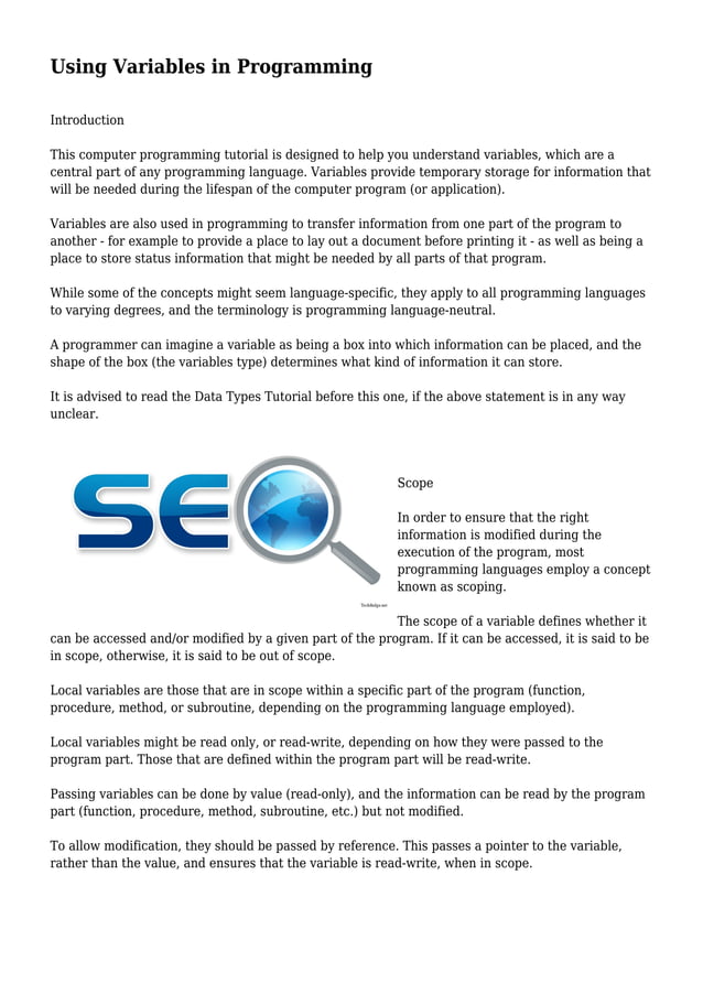 Using Variables in Programming | PDF