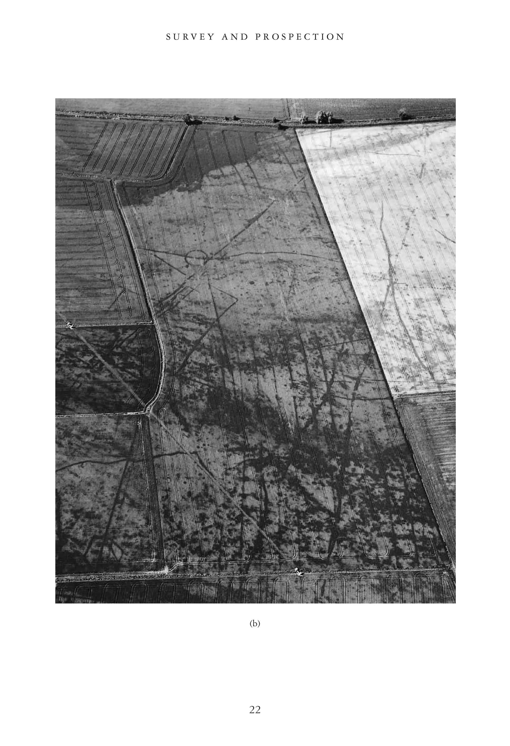 S U R V E Y A N D P R O S P E C T I O N
22
(b)
 