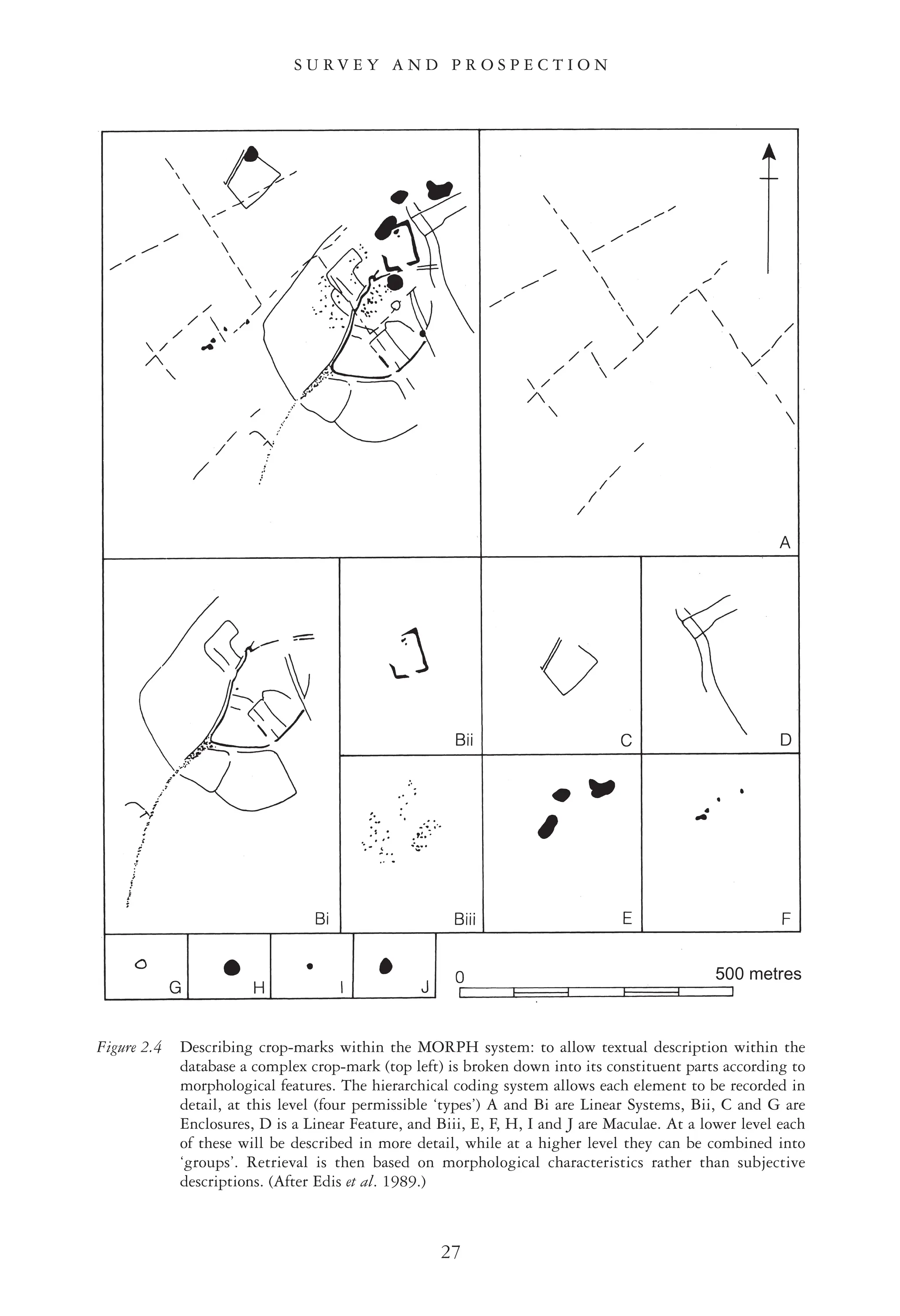27
S U R V E Y A N D P R O S P E C T I O N
Figure 2.4 Describing crop-marks within the MORPH system: to allow textual description within the
database a complex crop-mark (top left) is broken down into its constituent parts according to
morphological features. The hierarchical coding system allows each element to be recorded in
detail, at this level (four permissible ‘types’) A and Bi are Linear Systems, Bii, C and G are
Enclosures, D is a Linear Feature, and Biii, E, F, H, I and J are Maculae. At a lower level each
of these will be described in more detail, while at a higher level they can be combined into
‘groups’. Retrieval is then based on morphological characteristics rather than subjective
descriptions. (After Edis et al. 1989.)
 