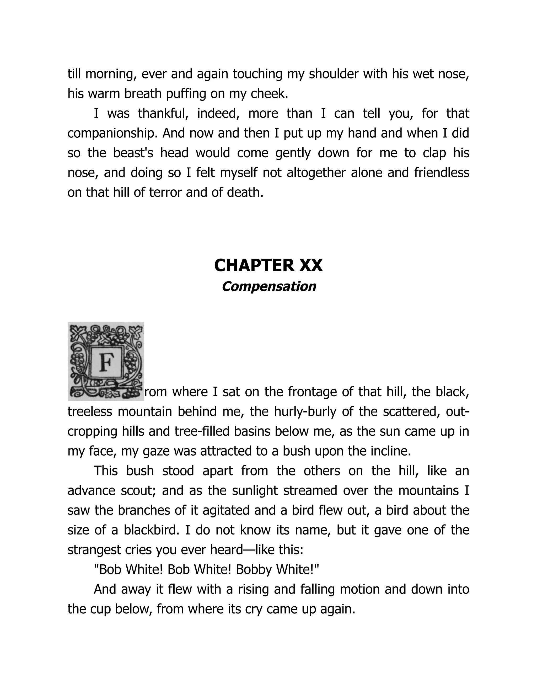 till morning, ever and again touching my shoulder with his wet nose,
his warm breath puffing on my cheek.
I was thankful, indeed, more than I can tell you, for that
companionship. And now and then I put up my hand and when I did
so the beast's head would come gently down for me to clap his
nose, and doing so I felt myself not altogether alone and friendless
on that hill of terror and of death.
CHAPTER XX
Compensation
rom where I sat on the frontage of that hill, the black,
treeless mountain behind me, the hurly-burly of the scattered, out-
cropping hills and tree-filled basins below me, as the sun came up in
my face, my gaze was attracted to a bush upon the incline.
This bush stood apart from the others on the hill, like an
advance scout; and as the sunlight streamed over the mountains I
saw the branches of it agitated and a bird flew out, a bird about the
size of a blackbird. I do not know its name, but it gave one of the
strangest cries you ever heard—like this:
"Bob White! Bob White! Bobby White!"
And away it flew with a rising and falling motion and down into
the cup below, from where its cry came up again.
 