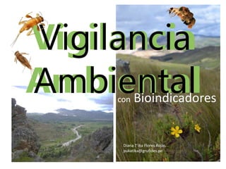 Vigilancia
Ambiental
Vigilancia
Ambiental
con Bioindicadores
Diana T´ika Flores Rojas
pukatika@grufides.pe
 