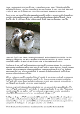 Limpar completamente, se o seu cÃ£o usa a casa de banho no seu andar. Utilize alguns forÃ§a
profissional de limpeza e um bom removedor de odor que funciona. Se o seu cÃ£o ainda pode sentir
o cheiro do lugar que ele foi marcado, ele serÃ¡ provavelmente para marcar novamente.
Converse com seu veterinÃ¡rio sobre quais alimentos sÃ£o melhores para o seu cÃ£o. Seguindo seu
conselho, relativa a alimentos diferentes para diferentes fases da sua vida de cÃ£o pode evitar a
doenÃ§a e dor de estÃ´mago. Tenha cuidado quando decidir o que vai alimentar o seu cÃ£o.
Possuir um cÃ£o Ã© um grande compromisso financeiro. Alimentos e suprimentos pode executar
mais de mil dÃ³lares por ano. VocÃª tambÃ©m deve olhar para a compra de um bom animal de
estimaÃ§Ã£o polÃtica de seguro de saÃºde para evitar as altas despesas mÃ©dicas.
Certifique-se de que vocÃª estÃ¡ mantendo-se com seu cÃ£o vet compromissos. Seu veterinÃ¡rio
pode detectar doenÃ§as de saÃºde muito antes de vocÃª pode, e muitos dos testes ele pode executar
vai ajudar a detectar ou evitar coisas como diabetes, renais ou problemas de tireÃ³ide. No longo
prazo, anual check-ups salvar o proprietÃ¡rio de um monte de dinheiro e impedir o cÃ£o de um
monte de sofrimento desnecessÃ¡rios.
NÃ£o se rendam ao seu cÃ£o caprichos. NÃ£o dÃª comida do seu cachorro ou deixÃ¡-lo destruir os
seus bens. NÃ£o deixe que rosto bonito enganÃ¡-lo. Ser firme, e as coisas permanecem intactas.
VocÃª pode nÃ£o mente, dando-tabela de recados, mas se vocÃª nÃ£o conseguir ser consistente, o
seu cÃ£o pode um dia ajudar a si mesmo para o seu jantar!
Sendo um proprietÃ¡rio do animal de estimaÃ§Ã£o vem com um monte de responsabilidades. Ã€s
vezes vocÃª pode sentir como Ã© um trabalho de tempo integral cuidar de seu cÃ£o. Felizmente, o
conselho esta peÃ§a tem ajudado vocÃª a se sentir mais preparado para levantar um animal de
estimaÃ§Ã£o. Menos estresse vai levar a uma muito mais feliz que vocÃª.
Certifique-se de que vocÃª dÃ¡ a mesma atenÃ§Ã£o para todos os tipos de cÃ£es. O cÃ£o pode ser
maus hÃ¡bitos ainda, tais como a mastigaÃ§Ã£o, a cavar, ou atÃ© mesmo o latido se vocÃª nÃ£o
prestar atenÃ§Ã£o a ele. Seu cÃ£o tambÃ©m pode tornar-se nervoso ou com medo de pessoas. Seu
cÃ£o precisa de muito jogo e de amor, para assegurar a sua felicidade.
DiÃ¡rio de um pincel vai fazer muito mais do que evitar que seu cÃ£o da constante de
 