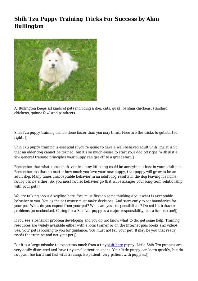 Shih Tzu Puppy Training Tricks For Success By Alan Bullington