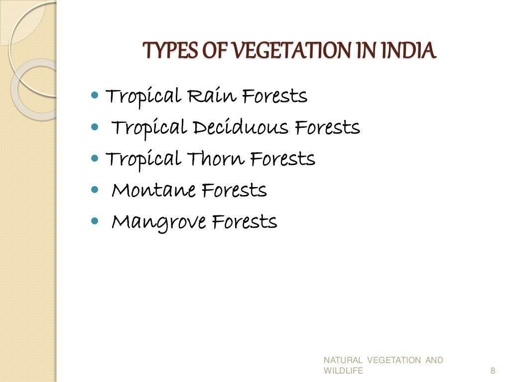 different types of natural vegetation and wildlife