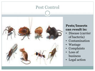 Pest Control
Pests/Insects
can result in:
• Disease (carrier
of bacteria)
• Contamination
• Wastage
• Complaints
• Loss of
business
• Legal action
 
