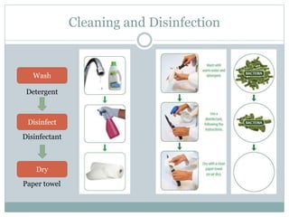 Cleaning and Disinfection
Wash
Disinfect
Dry
Detergent
Disinfectant
Paper towel
 