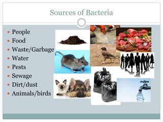 Sources of Bacteria
 People
 Food
 Waste/Garbage
 Water
 Pests
 Sewage
 Dirt/dust
 Animals/birds
 
