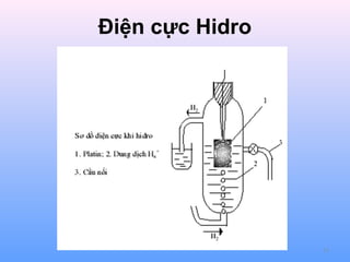 Điện cực Hidro

13

 