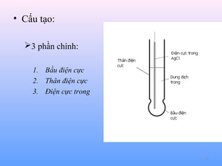 • Cấu tạo:
3 phần chính:
1. Bầu điện cực
2. Thân điện cực
3. Điện cực trong

29

 