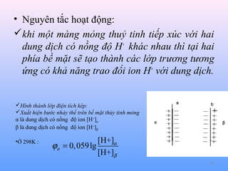 • Nguyên tắc hoạt động:
khi một màng mỏng thuỷ tinh tiếp xúc với hai
dung dịch có nồng độ H+ khác nhau thì tại hai
phía bề mặt sẽ tạo thành các lớp trương tương
ứng có khả năng trao đổi ion H+ với dung dịch.

Hình thành lớp điện tích kép:
Xuất hiện bước nhảy thế trên bề mặt thủy tinh mỏng
α là dung dịch có nồng độ ion [H+]α
β là dung dịch có nồng độ ion [H+]β
•Ở 298K :

[H+]α
ϕtt = 0, 059 lg
[H+]β
30

 