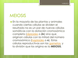 MEIOSIS
 En la mayoría de las plantas y animales
cuando ciertas células se dividen el
resultado no es un par de nuevas células
somáticas con la dotación cromosómica
completa (diploides o 2n) sino que
originan células con la mitad del número
cromosómico (haploides o n). Estas
células reproductivas son los gametos, y
la división que los origina es la MEIOSIS.
14/08/2015
1
 