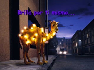 Brilla por ti mismo...