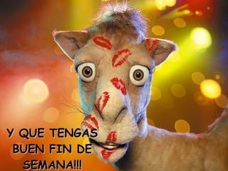 Y QUE TENGAS BUEN FIN DE SEMANA!!!