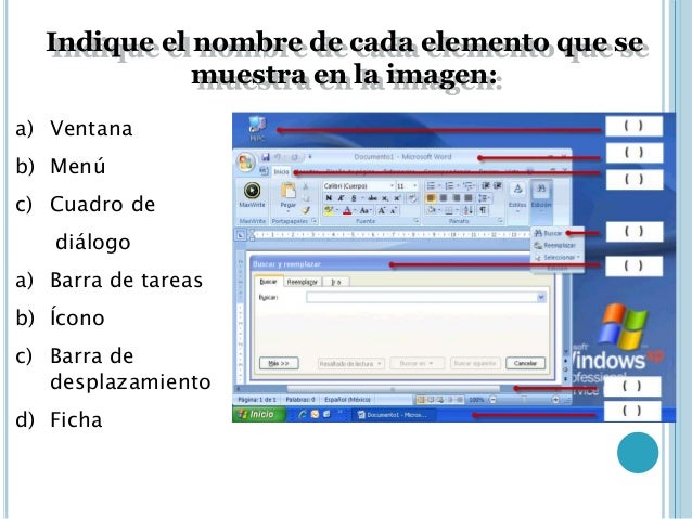 Paint Net No Winzip Paint Net No Winzip