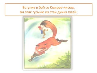 Вступив в бой со Смирре-лисом,
он спас гусыню из стаи диких гусей.
 
