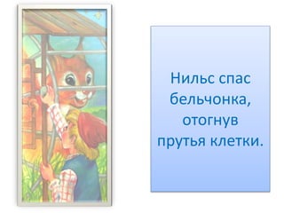Нильс спас
бельчонка,
отогнув
прутья клетки.
 