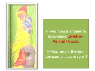 Нильс помог вправить
крылышко Дунфин-
Лёгкий Пушок.
У Мортена и Дунфин
рождаются шесть гусят!
 