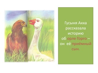 Гусыня Акка
рассказала
историю
об орле Горго –
он её приёмный
сын.
 