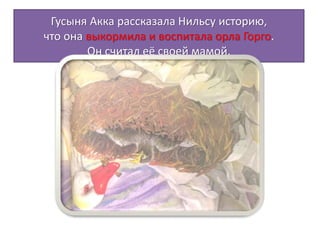 Гусыня Акка рассказала Нильсу историю,
что она выкормила и воспитала орла Горго.
Он считал её своей мамой.
 