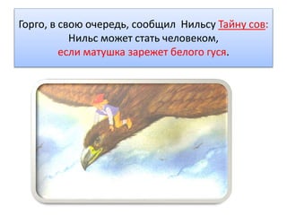 Горго, в свою очередь, сообщил Нильсу Тайну сов:
Нильс может стать человеком,
если матушка зарежет белого гуся.
 