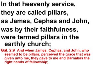 In that heavenly service,  they are called pillars,  as James, Cephas and John,  was by their faithfulness,  were termed pillars in the earthly church;   Gal. 2:9  And when James, Cephas, and John, who seemed to be pillars, perceived the grace that was given unto me, they gave to me and Barnabas the right hands of fellowship; 