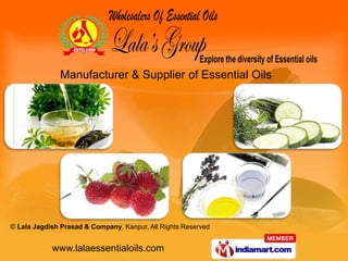 Manufacturer & Supplier of Essential Oils




© Lala Jagdish Prasad & Company, Kanpur, All Rights Reserved


            www.lalaessentialoils.com
 