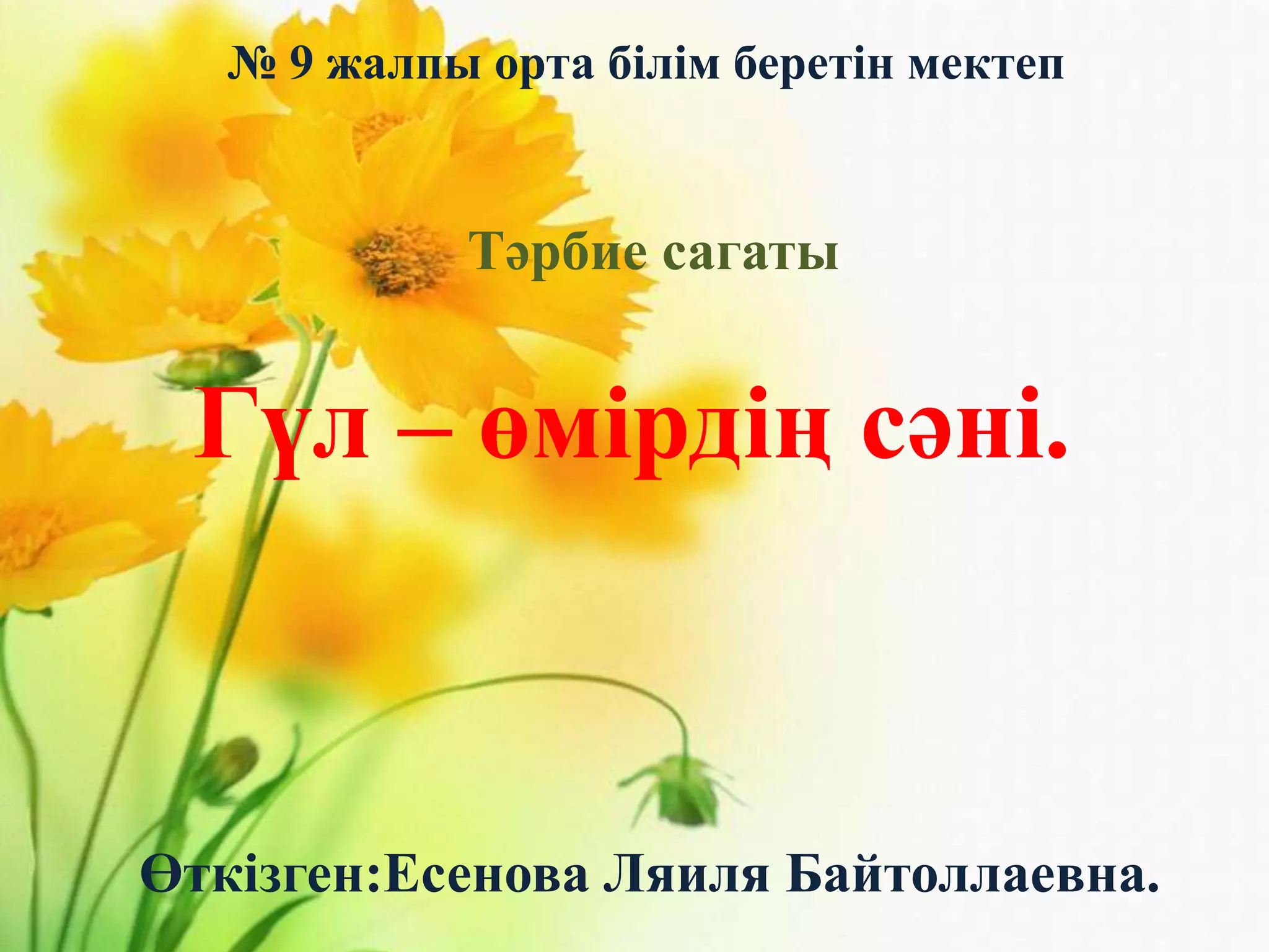 Ресейден келген мас порно видеолар