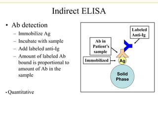 Indirect ELISA
• Ab detection
– Immobilize Ag
– Incubate with sample
– Add labeled anti-Ig
– Amount of labeled Ab
bound is proportional to
amount of Ab in the
sample
• Quantitative
Solid
Phase
Ag
Immobilized
Ab in
Patient’s
sample
Labeled
Anti-Ig
 