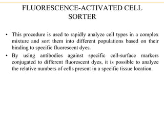FLUORESCENCE-ACTIVATED CELL
SORTER
• This procedure is used to rapidly analyze cell types in a complex
mixture and sort them into different populations based on their
binding to specific fluorescent dyes.
• By using antibodies against specific cell-surface markers
conjugated to different fluorescent dyes, it is possible to analyze
the relative numbers of cells present in a specific tissue location.
 