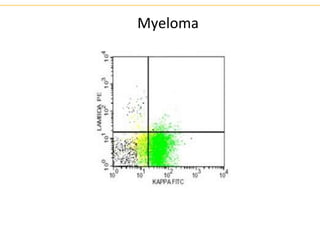 Myeloma
 