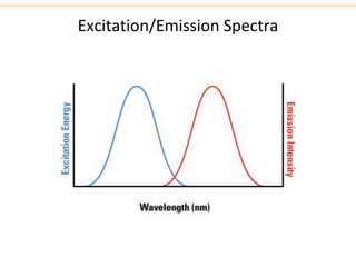 Excitation/Emission Spectra
 