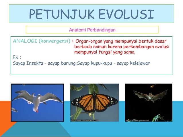 1444371 634751487386257500