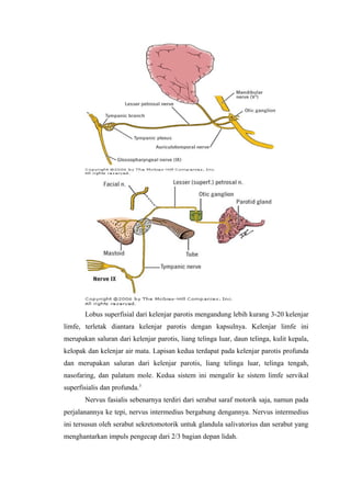 Sebagai saraf motorik mutlak nervus fasialis keluar dari foramen
stilomastoideum dan memberikan cabang-cabang kepada otot ...