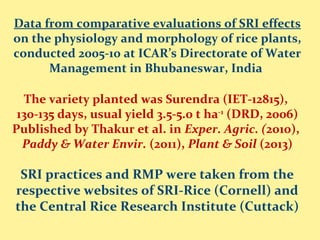 Data from comparative evaluations of SRI effects
on the physiology and morphology of rice plants,
conducted 2005-10 at ICAR’s Directorate of Water
Management in Bhubaneswar, India
The variety planted was Surendra (IET-12815),
130-135 days, usual yield 3.5-5.0 t ha-1
(DRD, 2006)
Published by Thakur et al. in Exper. Agric. (2010),
Paddy & Water Envir. (2011), Plant & Soil (2013)
SRI practices and RMP were taken from the
respective websites of SRI-Rice (Cornell) and
the Central Rice Research Institute (Cuttack)
 