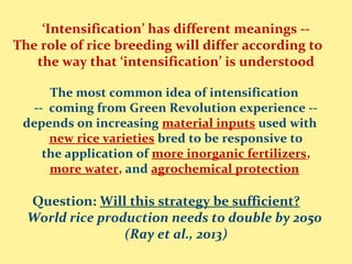 ‘Intensification’ has different meanings --
The role of rice breeding will differ according to
the way that ‘intensification’ is understood
The most common idea of intensification
-- coming from Green Revolution experience --
depends on increasing material inputs used with
new rice varieties bred to be responsive to
the application of more inorganic fertilizers,
more water, and agrochemical protection
Question: Will this strategy be sufficient?
World rice production needs to double by 2050
(Ray et al., 2013)
 