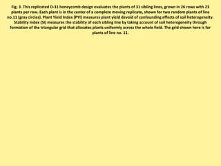 Fig. 3. This replicated D-31 honeycomb design evaluates the plants of 31 sibling lines, grown in 26 rows with 23
plants per row. Each plant is in the center of a complete moving replicate, shown for two random plants of line
no.11 (gray circles). Plant Yield Index (PYI) measures plant yield devoid of confounding effects of soil heterogeneity.
Stability Index (SI) measures the stability of each sibling line by taking account of soil heterogeneity through
formation of the triangular grid that allocates plants uniformly across the whole field. The grid shown here is for
plants of line no. 11.
 