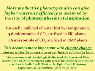 More productive phenotypes also can give
higher water-use efficiency as measured by
the ratio of photosynthesis to transpiration
For each 1 millimol of water lost by transpiration:
3.6 micromols of CO2 are fixed in SRI plants,
1.6 micromols of CO2 are fixed in RMP plants
This becomes more important with climate change
and as water becomes a scarcer factor of production
“An assessment of physiological effects of the System of Rice
Intensification (SRI) compared with recommended rice cultivation
practices in India,” A.K. Thakur, N. Uphoff and E. Antony
Experimental Agriculture, 46(1), 77-98 (2010)
 