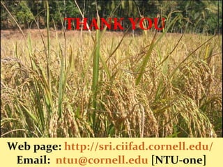 THANK YOU
Web page: http://sri.ciifad.cornell.edu/
Email: ntu1@cornell.edu [NTU-one]
 