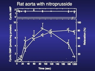 Biological Effects and Cell Signaling Role of Nitric Oxide by Nobel ...
