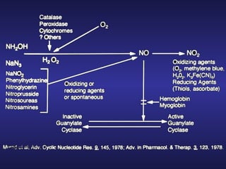 Biological Effects and Cell Signaling Role of Nitric Oxide by Nobel ...