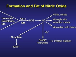 Biological Effects and Cell Signaling Role of Nitric Oxide by Nobel ...