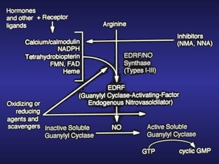 Biological Effects and Cell Signaling Role of Nitric Oxide by Nobel ...