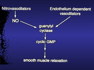 Biological Effects and Cell Signaling Role of Nitric Oxide by Nobel ...